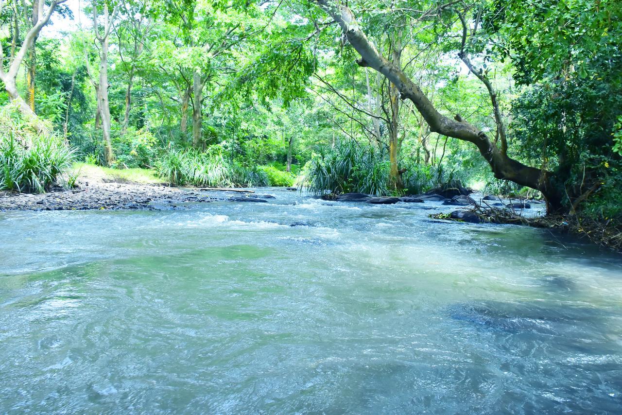 Silent River Cottage Udawalawe Eksteriør bilde